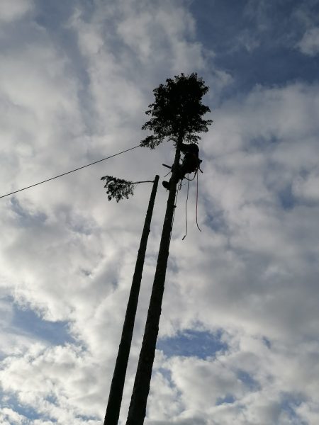 IMG-20250714-WA0027